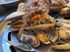 -四海蒸鲜蒸汽海鲜自助(北戴河店)