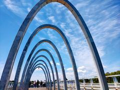 -大兴滨河森林公园