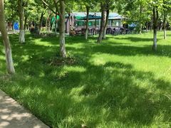 -上海海湾国家森林公园