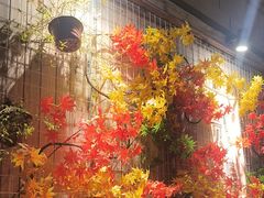 -贰醒·私房小院烧烤 (太古里店)