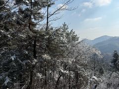 -四明山国家森林公园