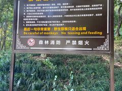 -苏州上方山国家森林公园