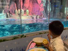 -帝企鹅自助餐厅•儿童岛•真企鹅(长隆企鹅酒店)