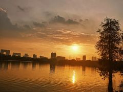 -海珠湖公园