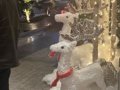 -浅深Cheersum(曹杨店)