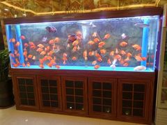 -尊足养生·影院足道·主题spa·采耳(浦江店)