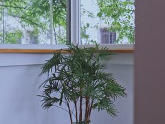 景观位-怪 kafe.