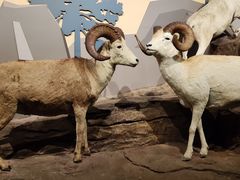 -陕西自然博物馆