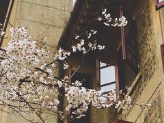 -武汉大学-樱园