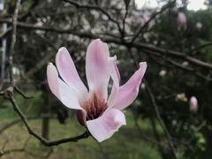 -贵阳市花溪国家城市湿地公园
