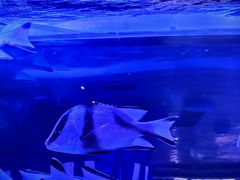 -上和臻品中国菜(花园街店)