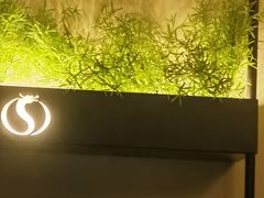 -华夏良子·足道SPA艾灸(王府井店)