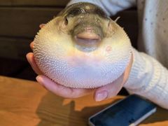 -永安鱼庄·镇江菜(丁卯店)