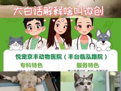 -悦宠动物医院(京丰分院)