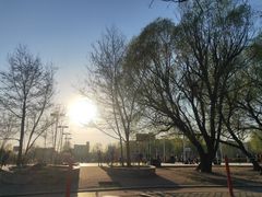 -铁西体育场