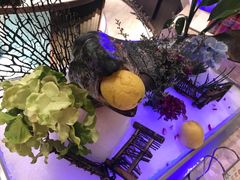 -盘锦生态酒店-火锅餐厅