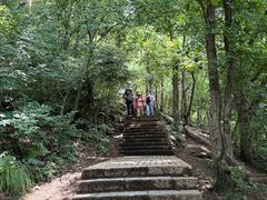 -紫金山山顶公园