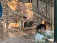 -北京鹿世界主题园