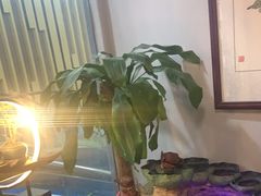 -净耳阁采耳文化体验馆(华强北店)