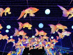 -海合安成都极地海洋公园