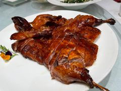 -沪碟·精菜坊(闵行店)