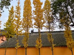 -什邡罗汉寺
