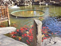 -白家大院·王府宫廷菜(苏州街店)