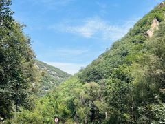 -洛阳花果山景区