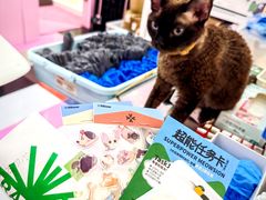 -天河领展广场