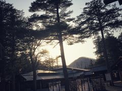 -北海道神宫