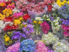 -双季花艺园艺市场(浦东店)
