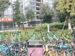 -博沃思·专注力·心理咨询·家庭教育(世豪中心)