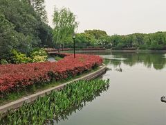-黄兴公园