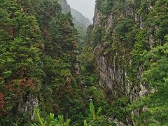 -苍山感通索道