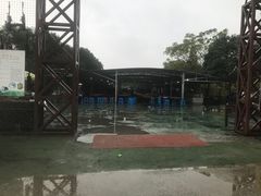 -梁鸿国家湿地公园