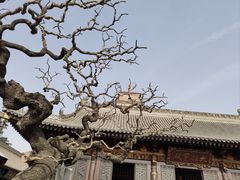 -大慈恩寺(大雁塔)