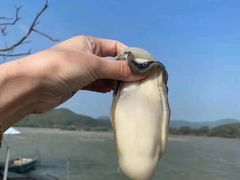 -汇景花园酒家(基立下道店)