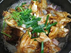 -石岐乳鸽村(南海第三分店)