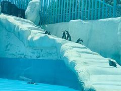 -新疆天山野生动物园