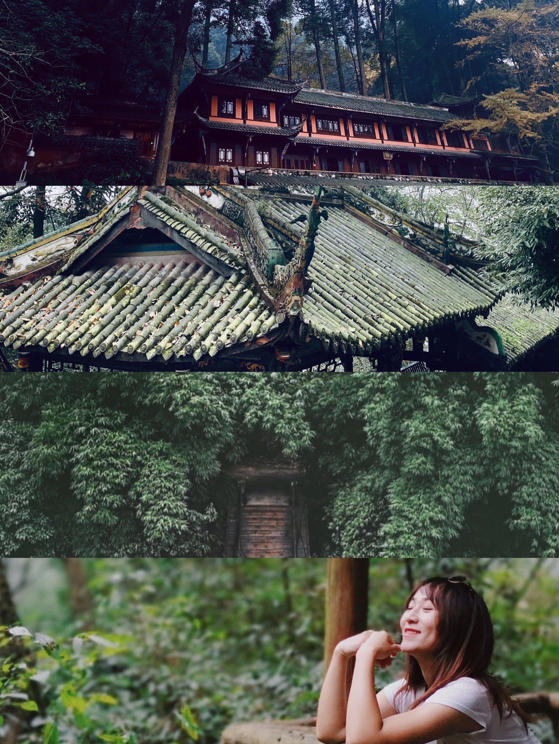 享受层林叠翠的森林spa