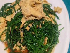 -鹏馨羊羔肉·非遗(新建街店)