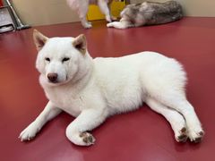 -和它·交个朋友·狗咖猫咖(爱琴海店)