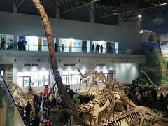 -自贡恐龙博物馆