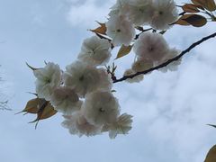 -黄兴公园