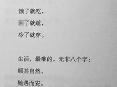 -寻味唐派·牛奶手撕面包(府前街店)