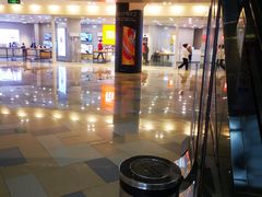 -鹏欣水游城
