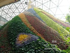 -花之城