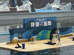 -秦皇岛乐岛海洋王国