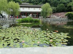 -黄鹤楼