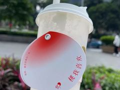 芝芝桃桃-喜茶(广州中山六路店)